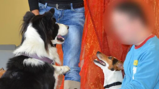 IL QUOTIDIANO.NET: Oltre 300 bambini assistiti con la pet therapy