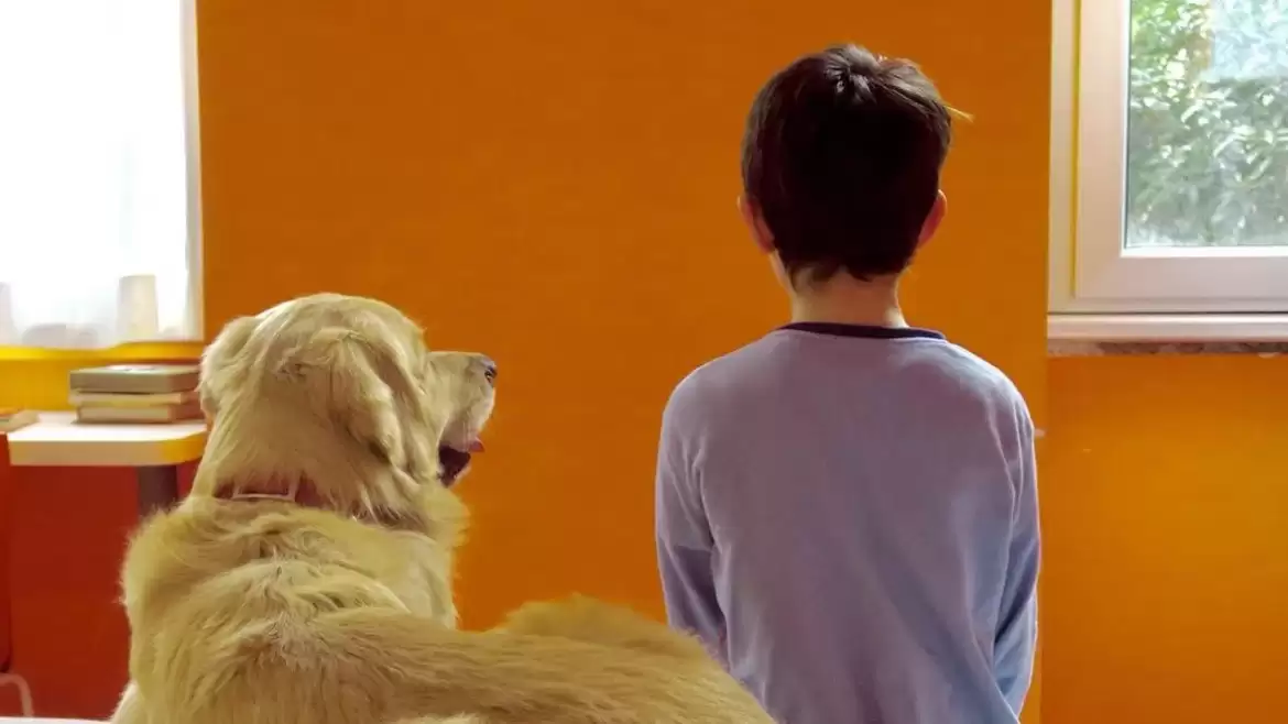 VANITY FAIR: Pet Therapy, così i cani aiutano le vittime di bullismo (e i bulli)