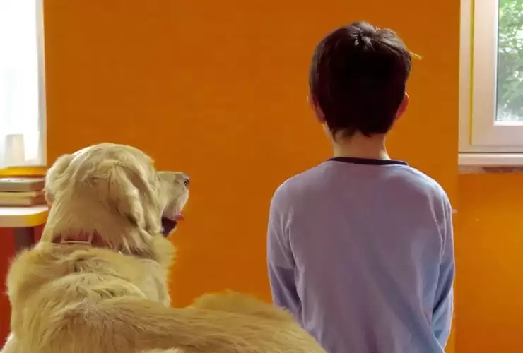 VANITY FAIR: Pet Therapy, così i cani aiutano le vittime di bullismo (e i bulli)