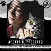 YOUMARK: nasce il progetto ‘Mi e’ sembrato di vedere un gatto…’
