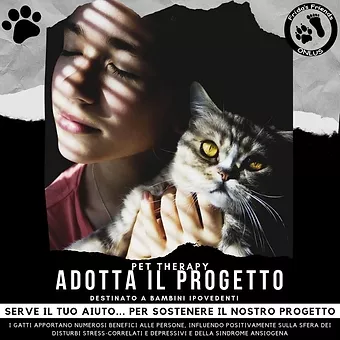 YOUMARK: nasce il progetto ‘Mi e’ sembrato di vedere un gatto…’