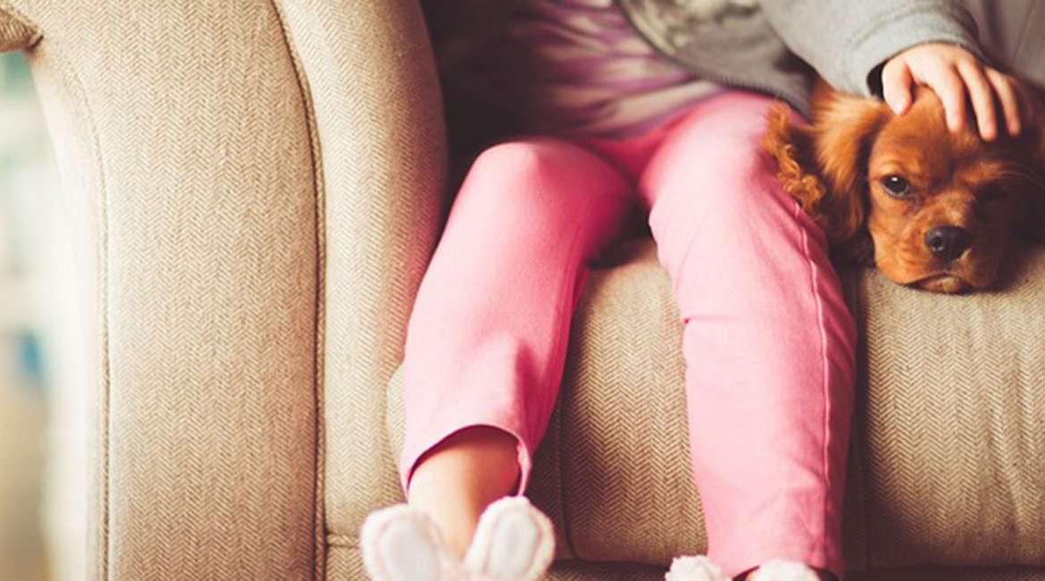 La necessità di una legge per la Pet Therapy
